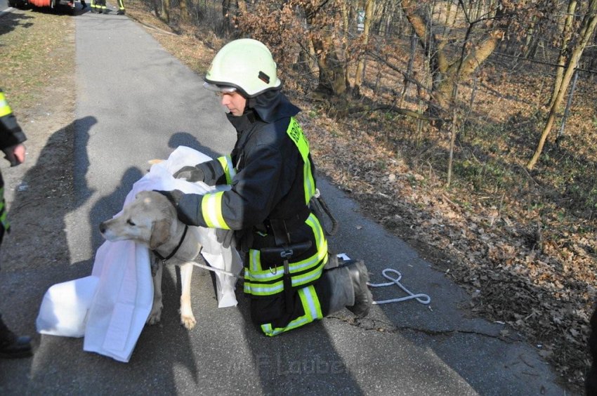 Hund und Frauchen im Eis eingebrochen Koeln Dellbrueck Hoehenfelder See P18.jpg